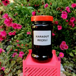 karadut-recel